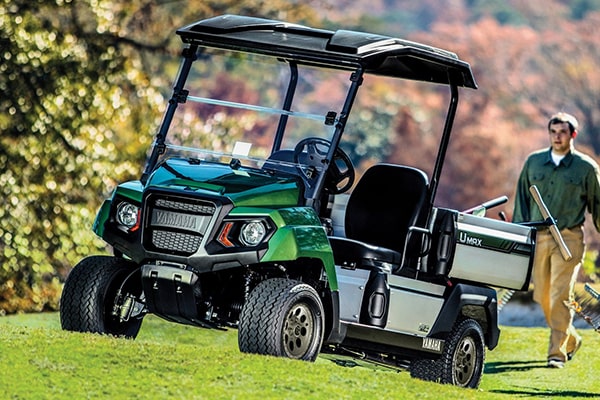 Stewart island sponsored capital Golf Carts for Sale, West TN | Dart's Carts | E-Z-Go, Yamaha, Cushman Dealer